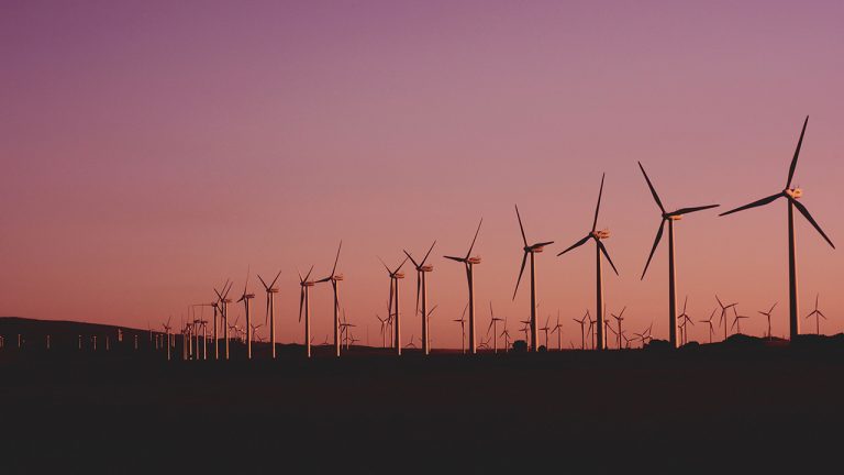 Medio Ambiente y Recursos Naturales
