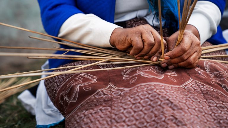 Pueblos originarios: desafíos para una sociedad intercultural